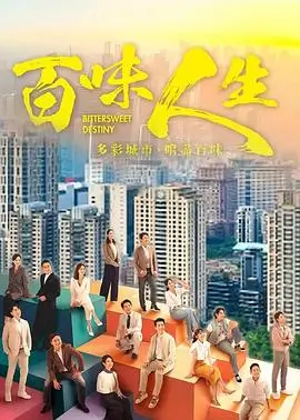 第一影院热播剧集 雾港往事